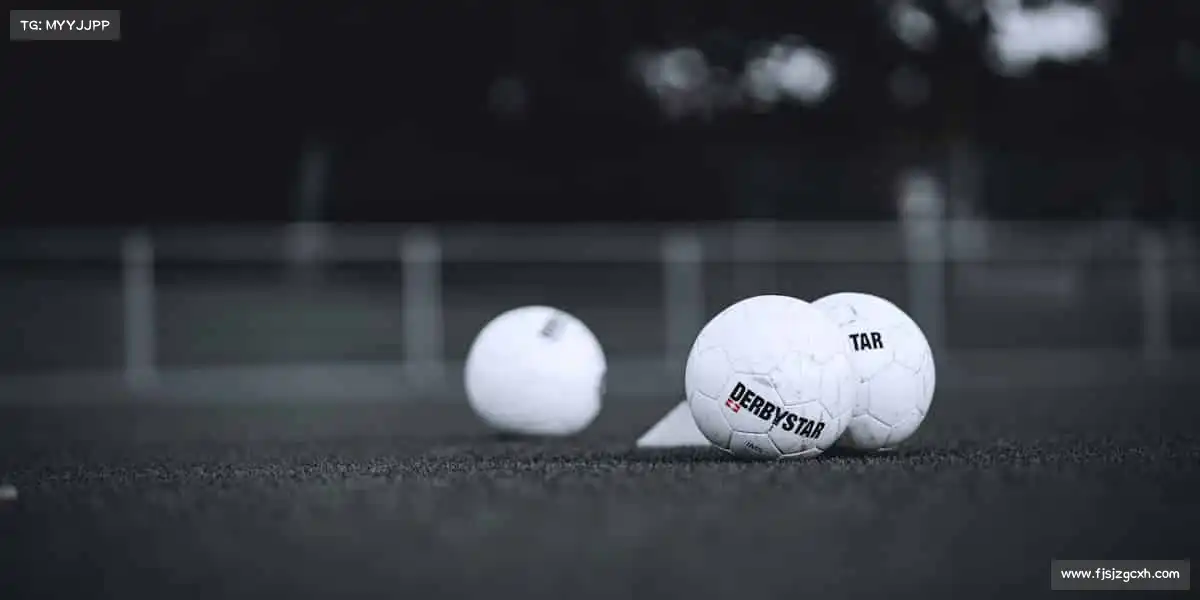 <strong>银河官网</strong>🏀跳跃吧！你的高度由汗水决定！